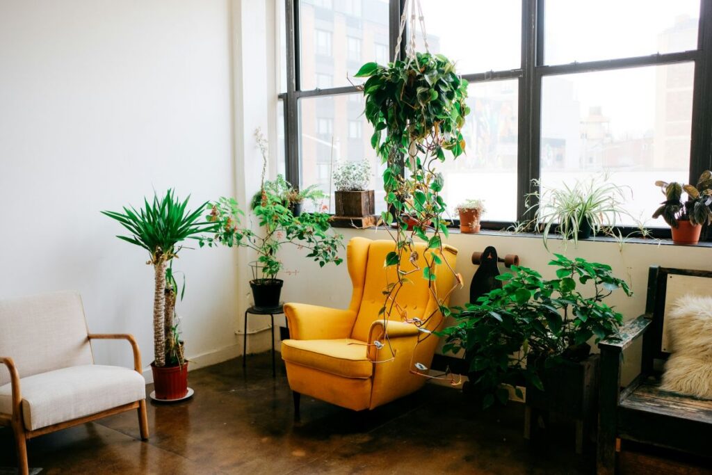 planten in werkkamer
