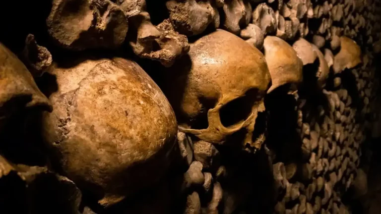 rondleiding in de catacomben van Parijs tussen schedels