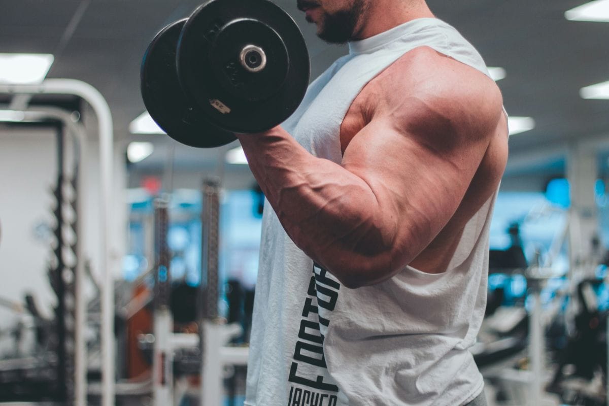 Biceps trainen