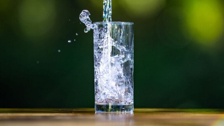 hoeveel water per dag