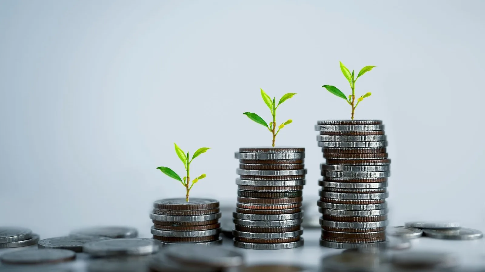 Hoogste spaarrente banken