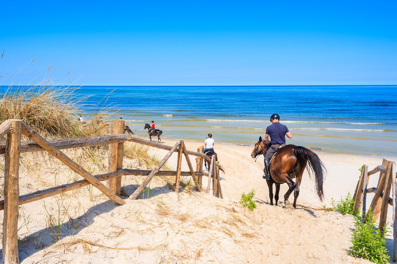 Ruiters langs het strand in Portugal
