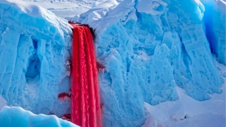 blood falls antarctica